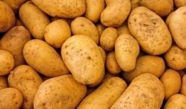 土豆最新爆料配方大全